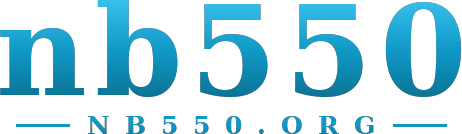 nb550 logo